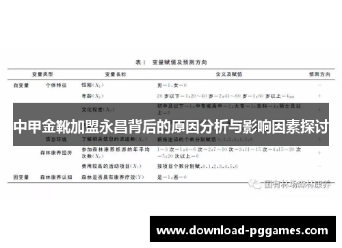 中甲金靴加盟永昌背后的原因分析与影响因素探讨 中甲金靴加盟永昌背后的原因分析与影响因素探讨