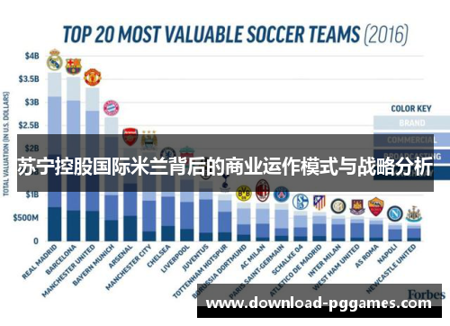 苏宁控股国际米兰背后的商业运作模式与战略分析 苏宁控股国际米兰背后的商业运作模式与战略分析