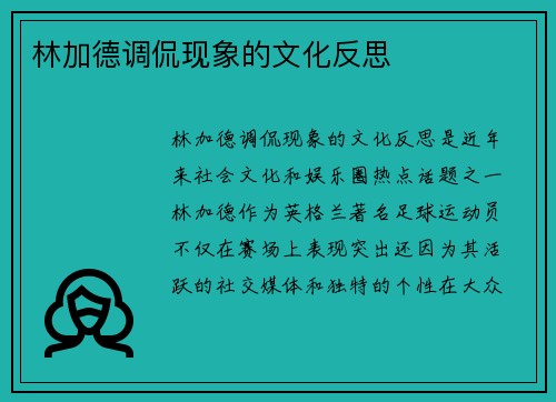林加德调侃现象的文化反思