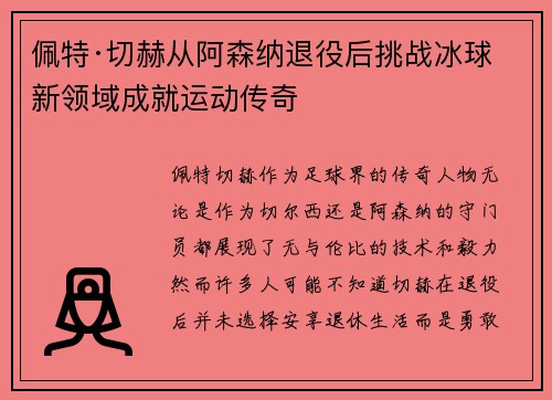 佩特·切赫从阿森纳退役后挑战冰球新领域成就运动传奇